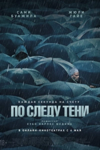 По следу тени